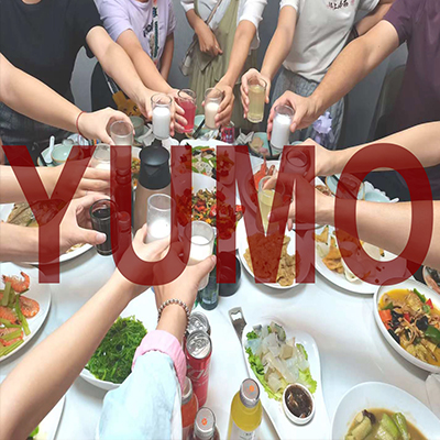 elebrating the YUMO Company's 16th Anniversary: A Milestone of Excellence and Success